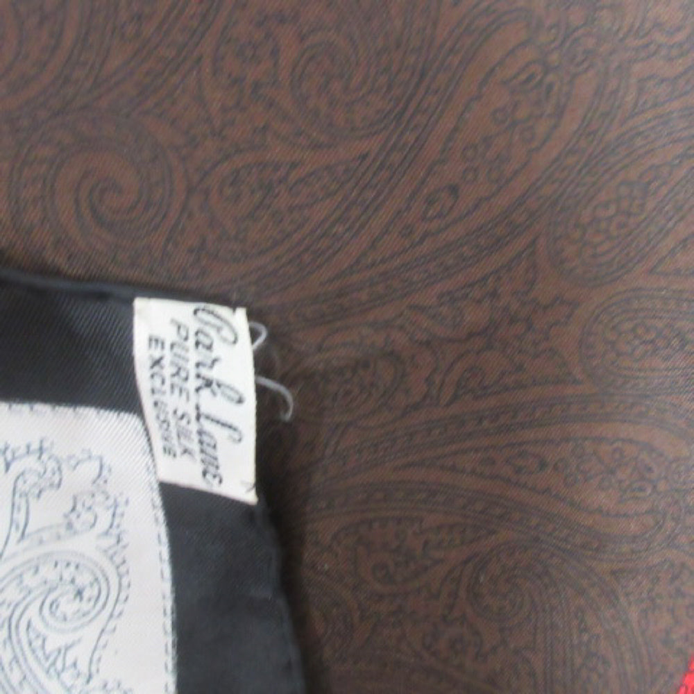 Park Lane Paisley Silk Scarf - Mens Pocket Square - 3611