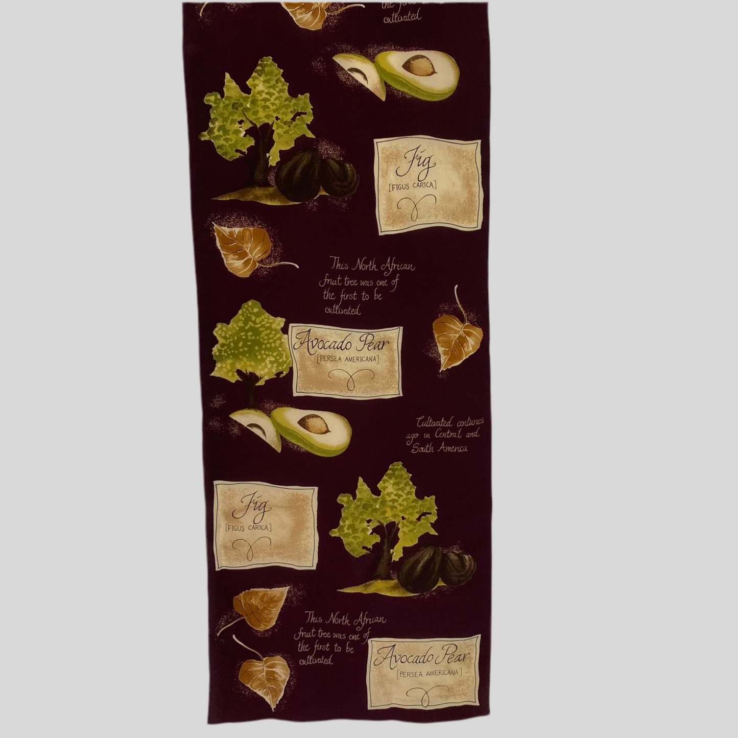 Avocado Pear Fig Design Silk Scarf - Long - 5245