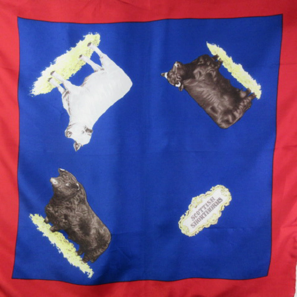 Scottish Short Horns Design Silk Scarf - Square - 1401