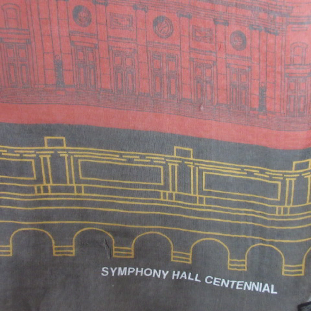 Lario Seta Silk Scarf - Long Symphony Hall 2518