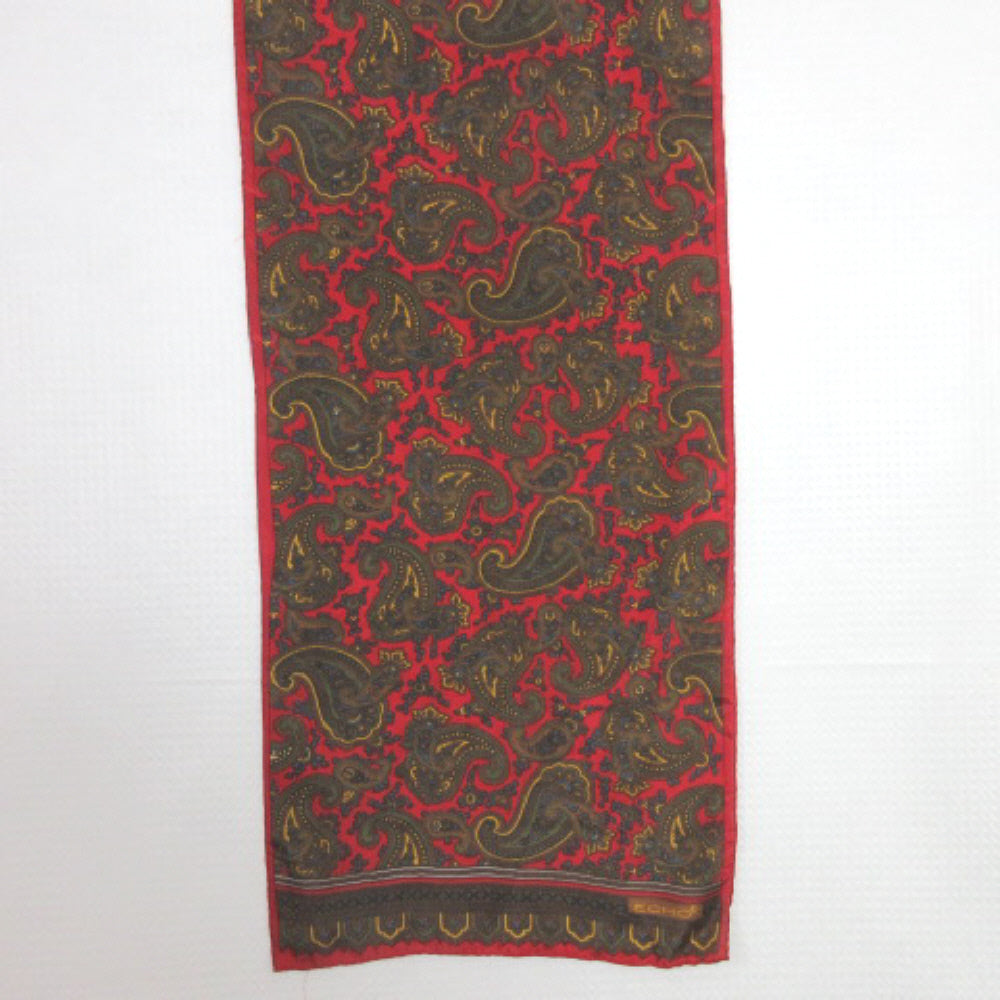Echo Paisley Silk Scarf - Long 2783