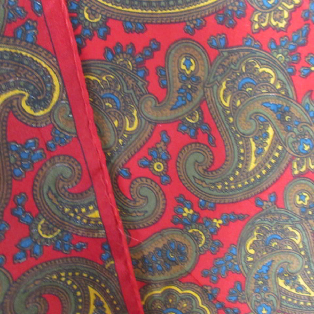 Echo Paisley Silk Scarf - Long 2783