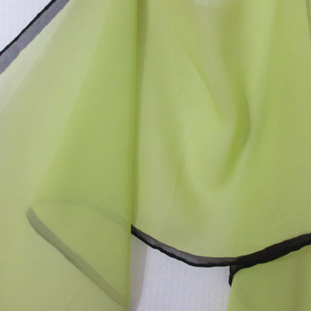 Chantelle Neon Chiffon Silk Scarf - Long – 4525