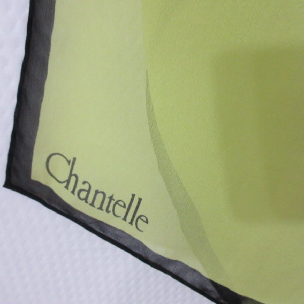 Chantelle Neon Chiffon Silk Scarf - Long – 4525