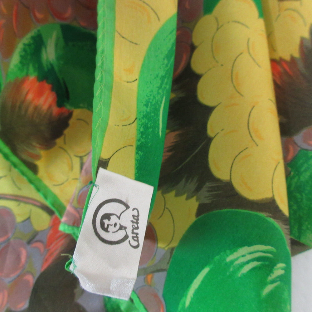 Careta Fruit Design Silk Scarf - Long - 5489