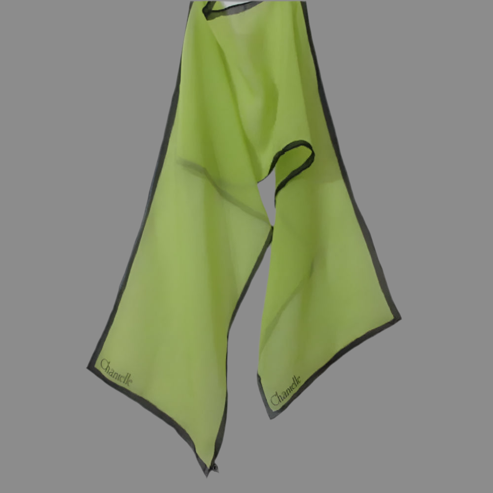 Chantelle Neon Chiffon Silk Scarf - Long – 4525
