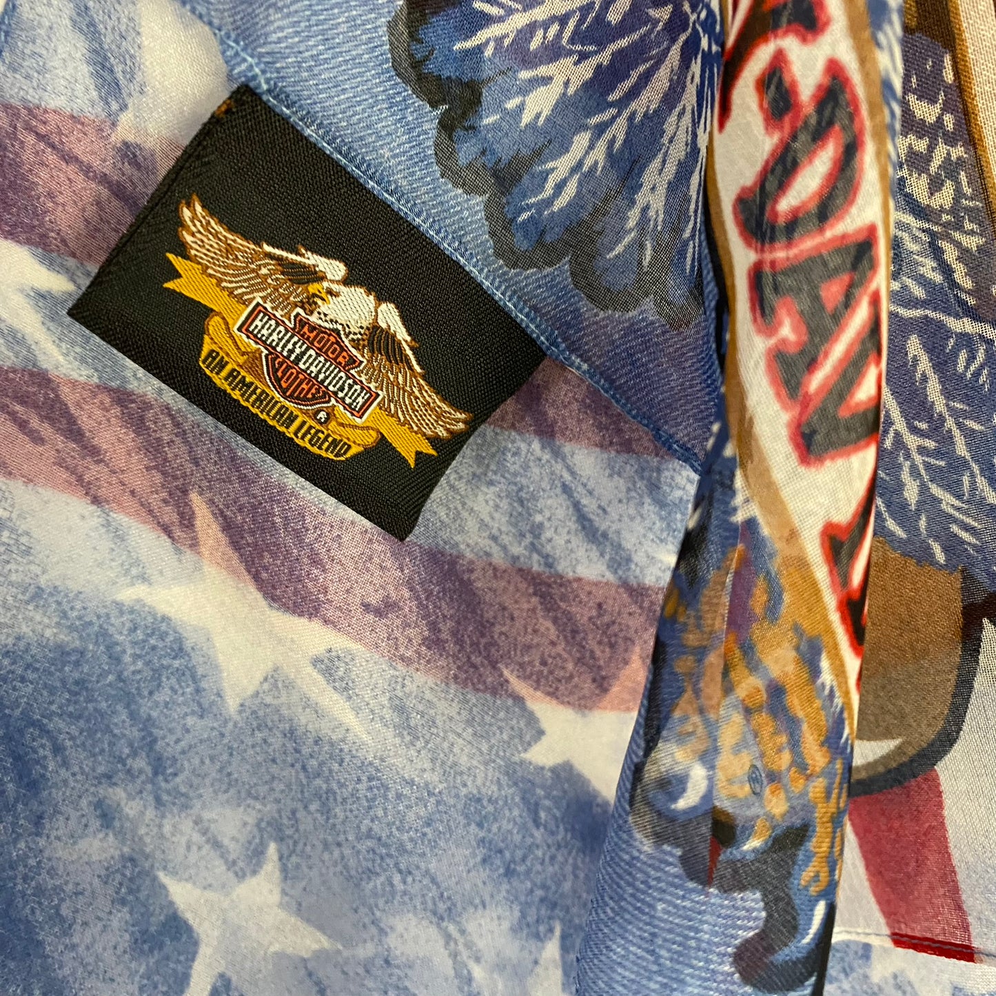 Harley Davidson Mens or Womens Scarf - Long – 4915