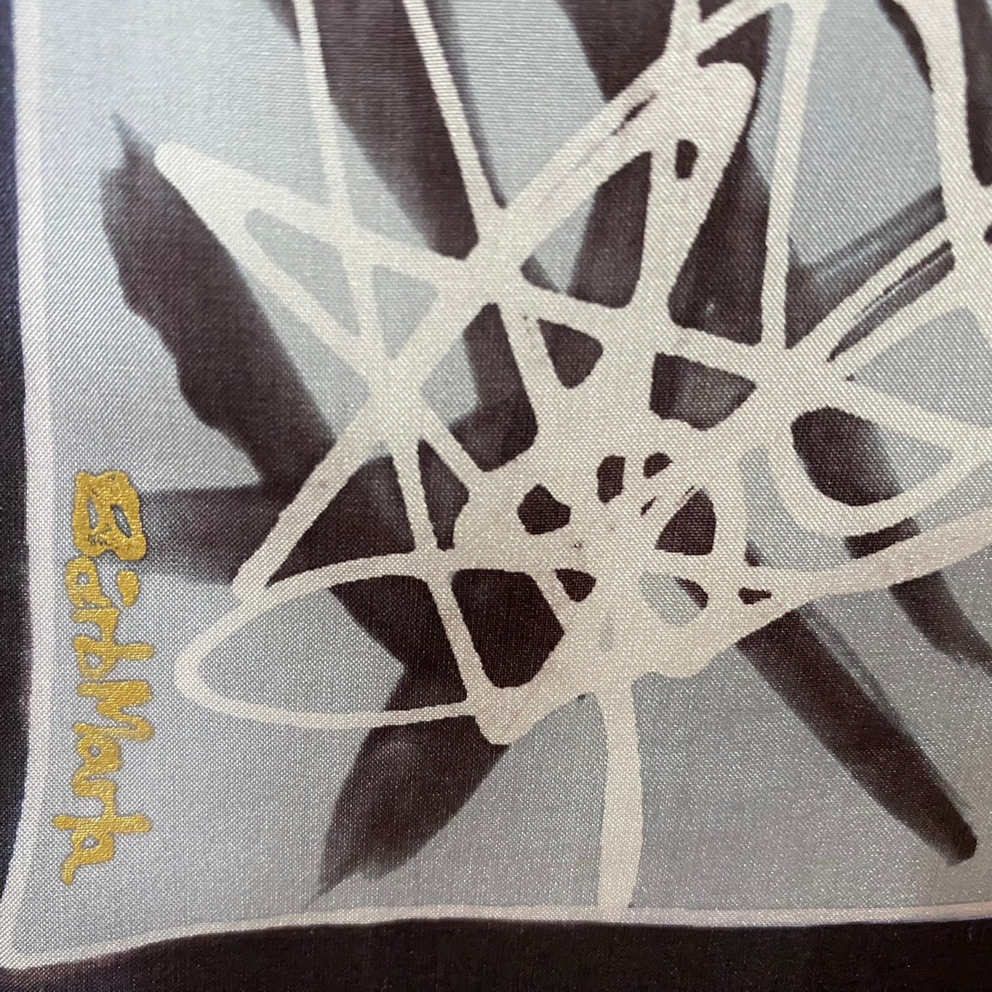 Artist Barb Marla Batik Art Silk Scarf - Long - 5056