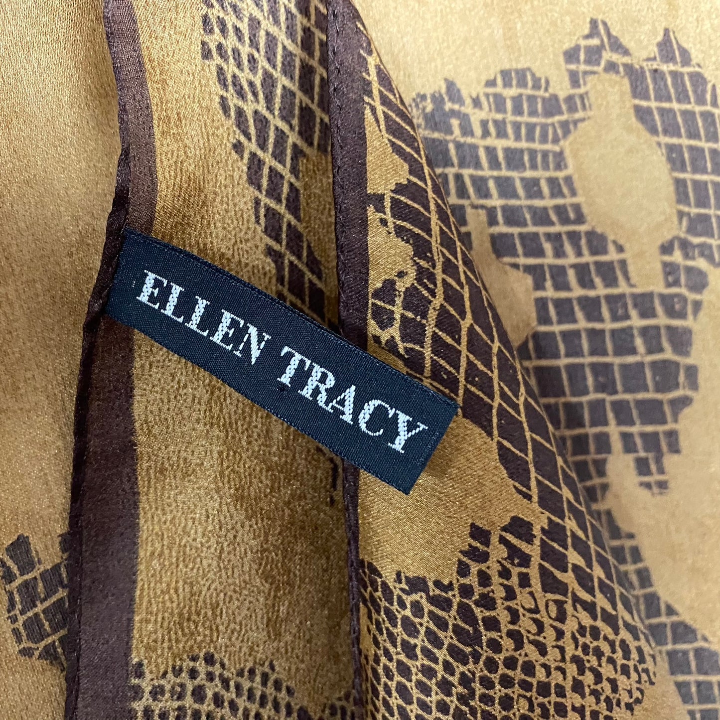 Ellen Tracy Designer Silk Scarf - Long – 5062