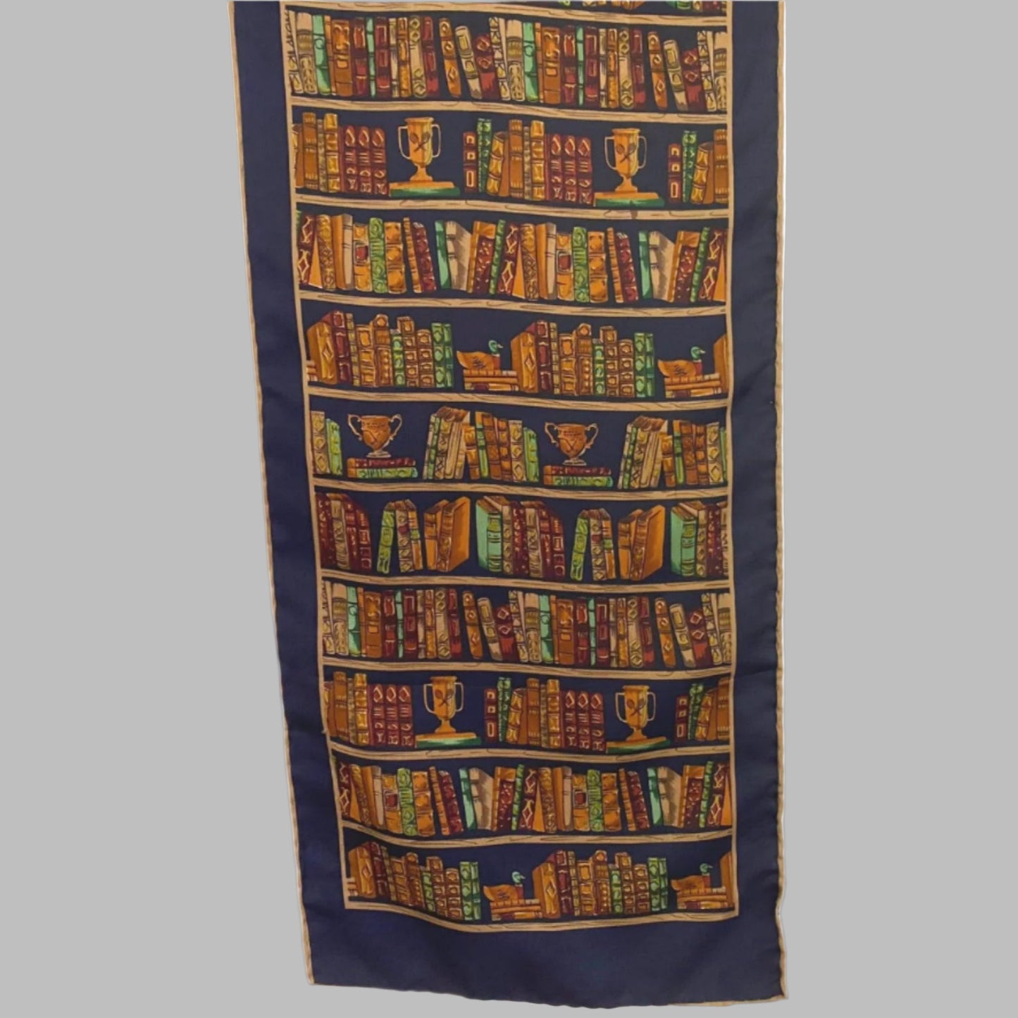 Alynn Library Books Silk Scarf - Long - 5117