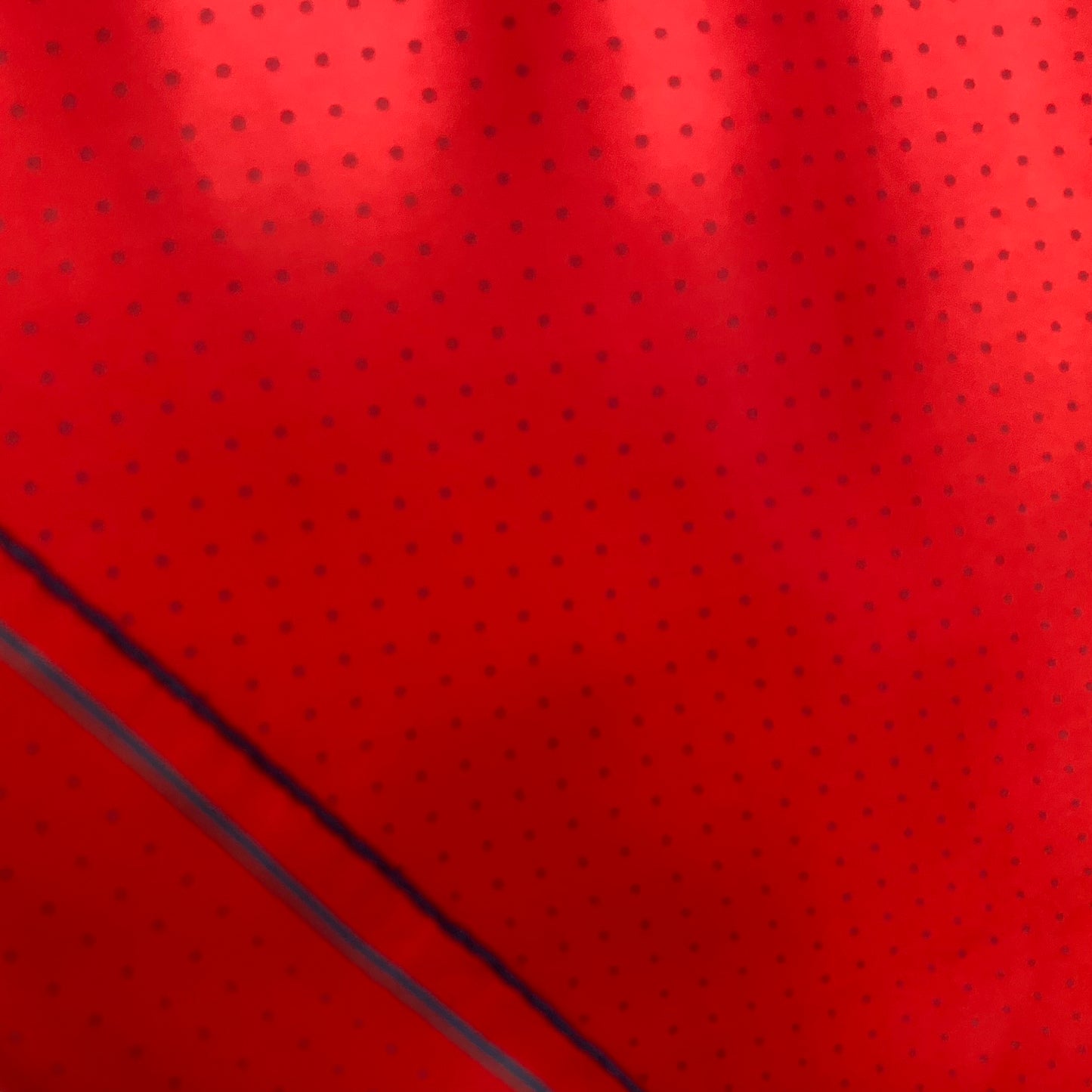 Ashear Polka Dot Mens Silk Pocket Hankie - 19" Square - 5140