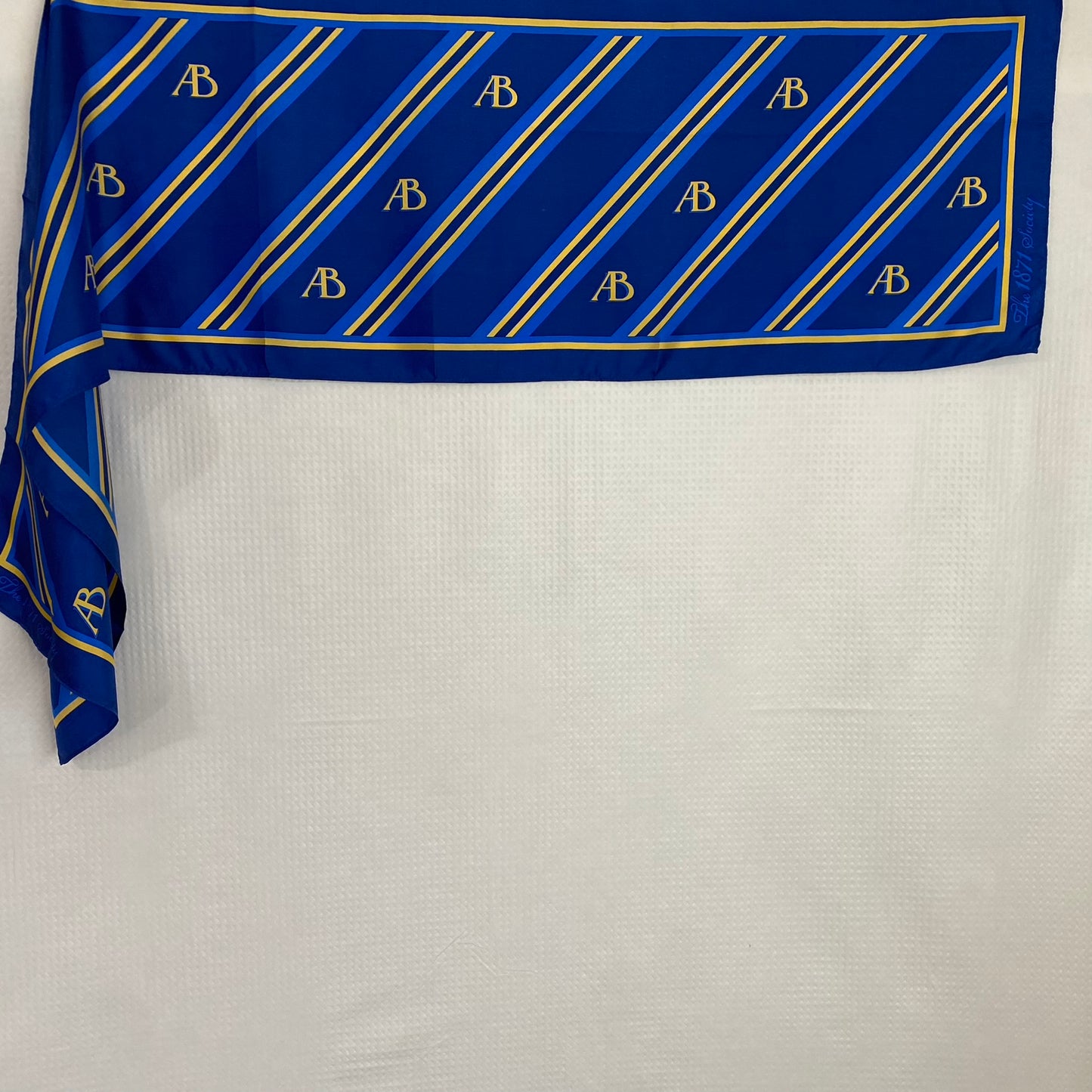 AB Silk Scarf - The 1871 Society Design Long - 5256